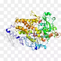 树食线剪贴画-树-空若网 树食线剪贴画-树-空若网