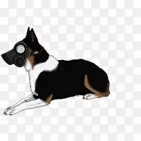 ��������ѩ��Ȯ-������