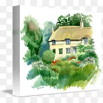 水彩画树画-空若网 水彩画树画-空若网