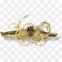 昆虫蝴蝶2翅蝴蝶和蛾.昆虫-空若网 昆虫蝴蝶2翅蝴蝶和蛾.昆虫-空若网