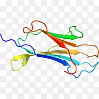 �ߵ������������-������