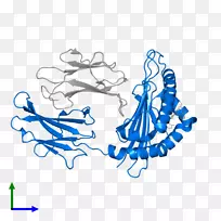 ƽ����Ƽ�����.���-������