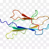 线点生物剪贴画线-空若网 线点生物剪贴画线-空若网