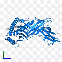 ����������-������