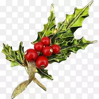 �ۺ챬�׻���ȻʳƷ-������