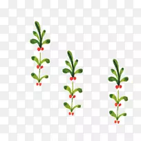 ʥ����ˮ�ʻ�ˮ�ʻ�ʥ��ֲ��-������