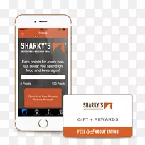 ���������ʳ������-������