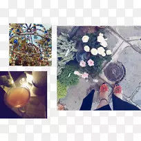 ����ʢ��-������