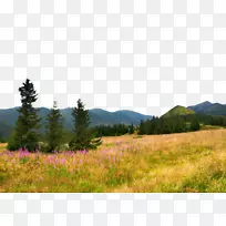 ������ɽ��-�＾дʵ��Ұ�������-������