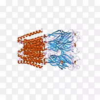 艺术线点品牌线-空若网 艺术线点品牌线-空若网