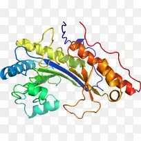 �ߵ������������-������