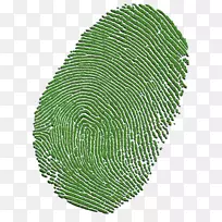 这是一个锦标赛电视节目-绿色肯辛顿大道-空若网 这是一个锦标赛电视节目-绿色肯辛顿大道-空若网