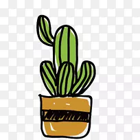 仙人掌科插图-绿色可爱仙人掌-空若网 仙人掌科插图-绿色可爱仙人掌-空若网