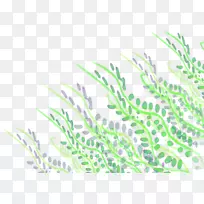 植物茎叶草动画电影-空若网 植物茎叶草动画电影-空若网