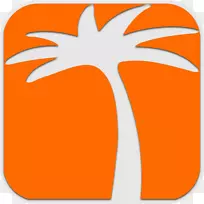 �߼�����-��-������