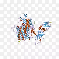 图形设计字体设计-空若网 图形设计字体设计-空若网