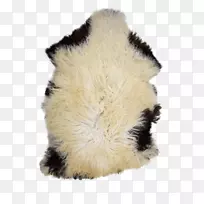 毛皮鼻子-空若网 毛皮鼻子-空若网