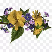 博客电视网络论坛切花-空若网 博客电视网络论坛切花-空若网