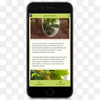 智能手机多媒体-智能手机-空若网 智能手机多媒体-智能手机-空若网