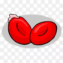 ƻ����ѧ������-ƻ��-������