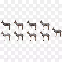 鹿羚羊陆地动物野生动物山羊羚羊-空若网 鹿羚羊陆地动物野生动物山羊羚羊-空若网