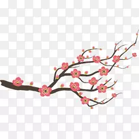 梅花-空若网 梅花-空若网