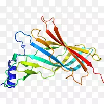线点生物剪贴画线-空若网 线点生物剪贴画线-空若网