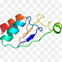 �ߵ������-��-������