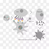电视2.无剪辑艺术-传染病-空若网 电视2.无剪辑艺术-传染病-空若网