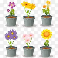 花盆-阳台种植盆栽植物-空若网 花盆-阳台种植盆栽植物-空若网