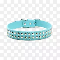 狗领绿皮狗领-空若网 狗领绿皮狗领-空若网