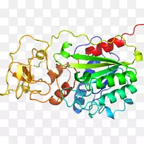 �����鱦�л�������������.�鱦-������