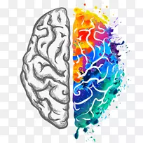 ����ɽ��ѧ����ѧϰʵ�����񾭿�ѧ-Psicologia-������