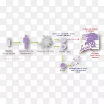 ͼ����-Ԥ����֢-������