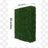 ��ľ��-������