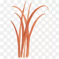 ˮ�ʻ�ͼ��-��ɫˮ�ʻ���-������