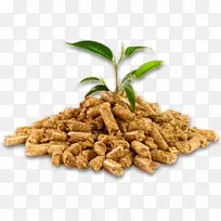 о��ȼ��������ľмľ��ȼ�Ͽ�������Դľ��-������