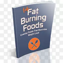 Ʒ�Ʊ�־�������-������