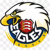 艾塞克斯县板球俱乐部萨里郡板球俱乐部格洛斯特郡板球俱乐部米德尔塞克斯县板球俱乐部-板球俱乐部-空若网 艾塞克斯县板球俱乐部萨里郡板球俱乐部格洛斯特郡板球俱乐部米德尔塞克斯县板球俱乐部-板球俱乐部-空若网