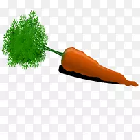 ºúÂܲ·¶¯»¼ô¼ÒÕÊõ-ºúÂܲ·-¿ÕÈôÍø ºúÂܲ·¶¯»¼ô¼ÒÕÊõ-ºúÂܲ·-¿ÕÈôÍø