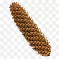 ËÕ¸ñÀ¼ÈË£¬ËÉ£¬ÔÆÉ¼£¬ÂíβËÉ£¬Ñ©ËÉ£¬-¿ÕÈôÍø ËÕ¸ñÀ¼ÈË£¬ËÉ£¬ÔÆÉ¼£¬ÂíβËÉ£¬Ñ©ËÉ£¬-¿ÕÈôÍø