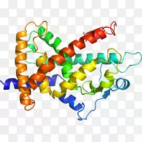 人体珠宝有机体线条剪贴画.珠宝-空若网 人体珠宝有机体线条剪贴画.珠宝-空若网