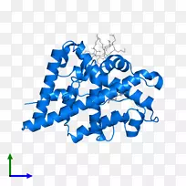 �ߵ������-��-������