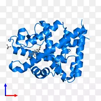 �߼�����-��-������