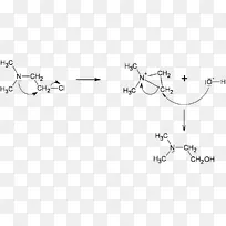 直线点角白线-空若网 直线点角白线-空若网