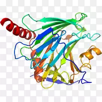 �ߵ������������-������