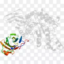 线点剪贴画-线-空若网 线点剪贴画-线-空若网