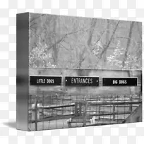 品牌白狗公园-空若网 品牌白狗公园-空若网