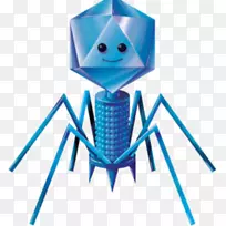 �ɾ�������ϸ����������ѧ-��ѧ-������