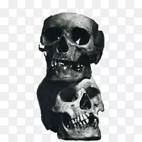 静物摄影头骨摄影师艺术头骨-空若网 静物摄影头骨摄影师艺术头骨-空若网